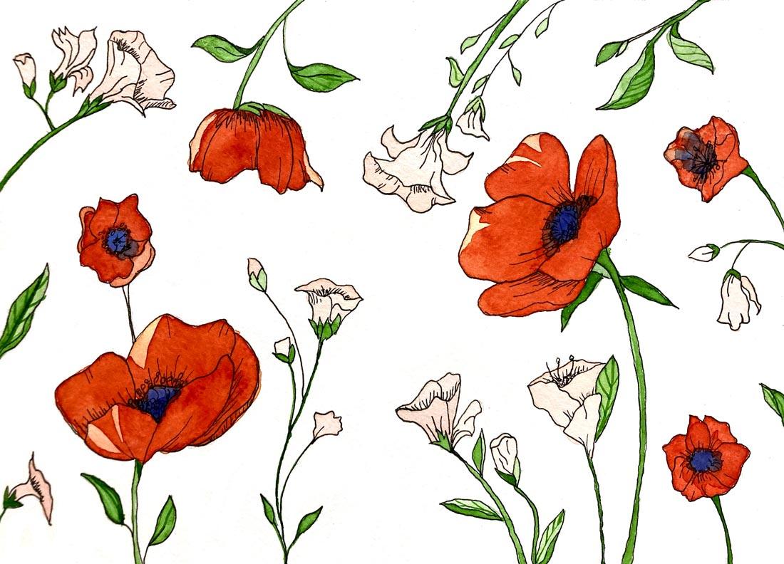 Poppies and sweet peas watercolor